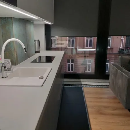 Rayska Loft By As
